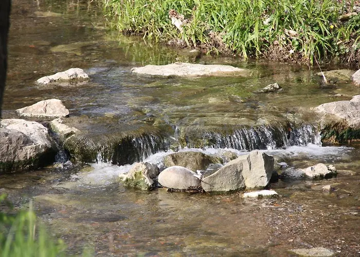 Dimora Del Riccio Guest house 4*